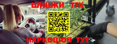 тгк Партизанск